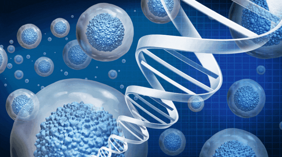 Clinical lab services for cell and gene therapy research
