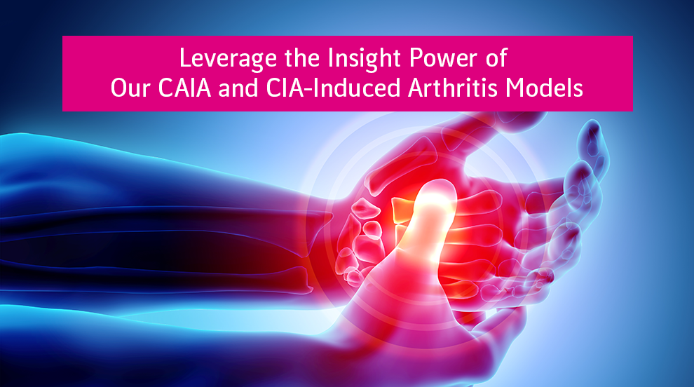 CAIA and CIA preclinical models