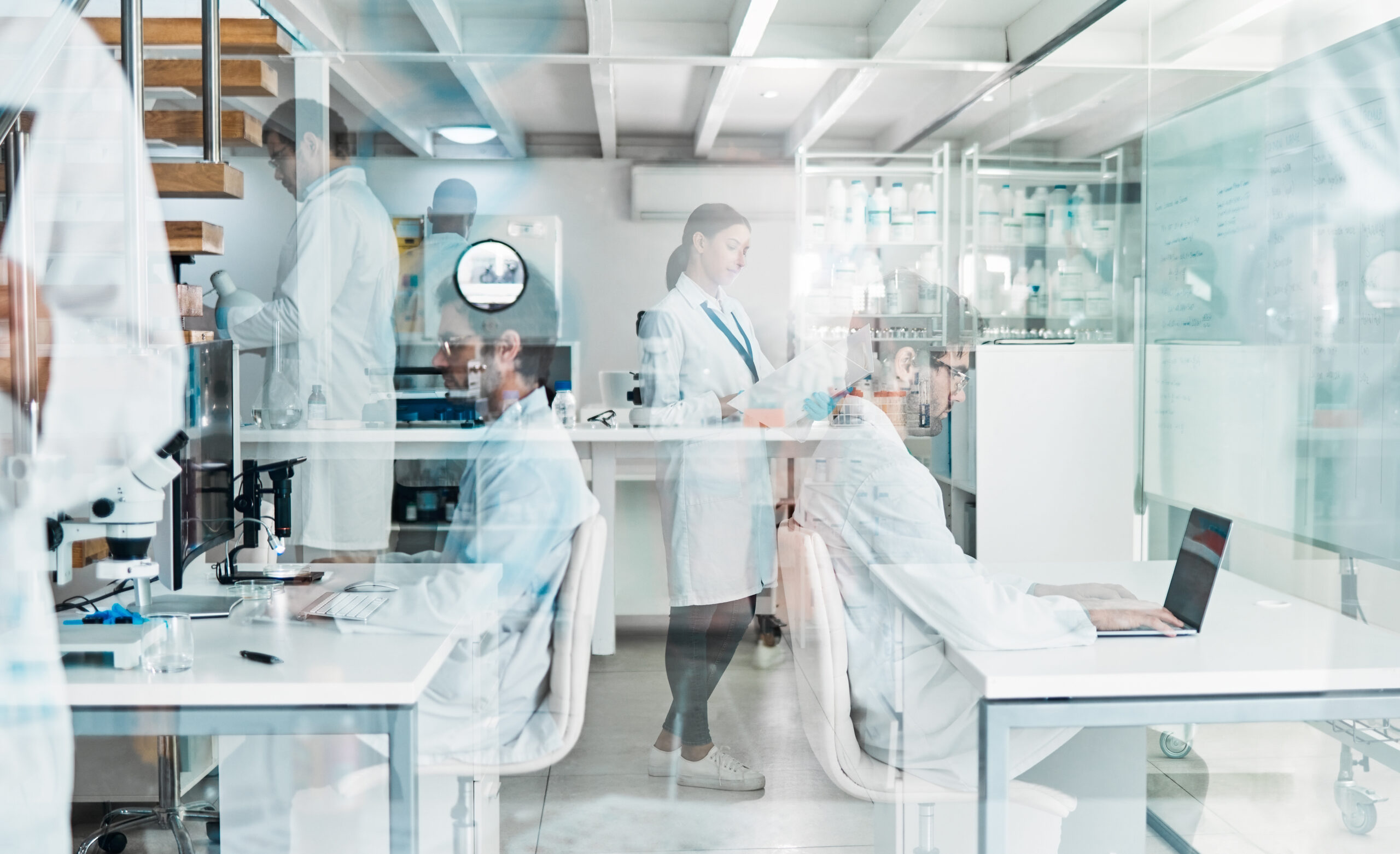 The Right-Sized Central Lab for Global Trials - MLM Medical Labs